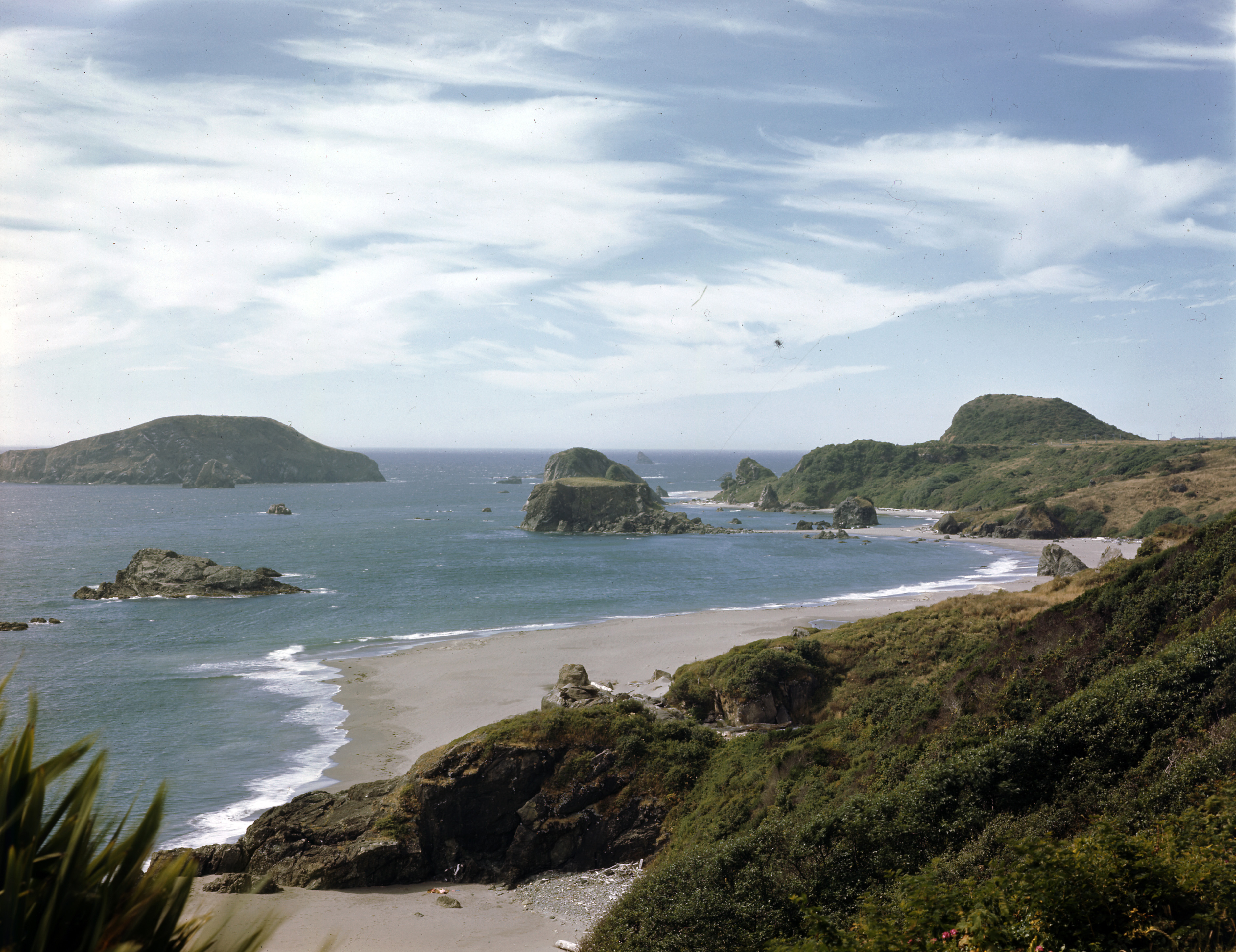 Oregon coast from Hwy. 101 near Brookings, 1940.
