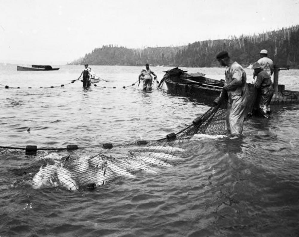 Fishermen on Boat Casting Fishing Net To Catch Fish in Swamp Editorial  Image - Image of occupation, fisherman: 99492225