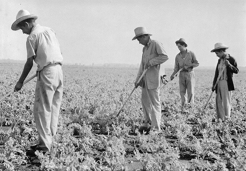 Bracero Program