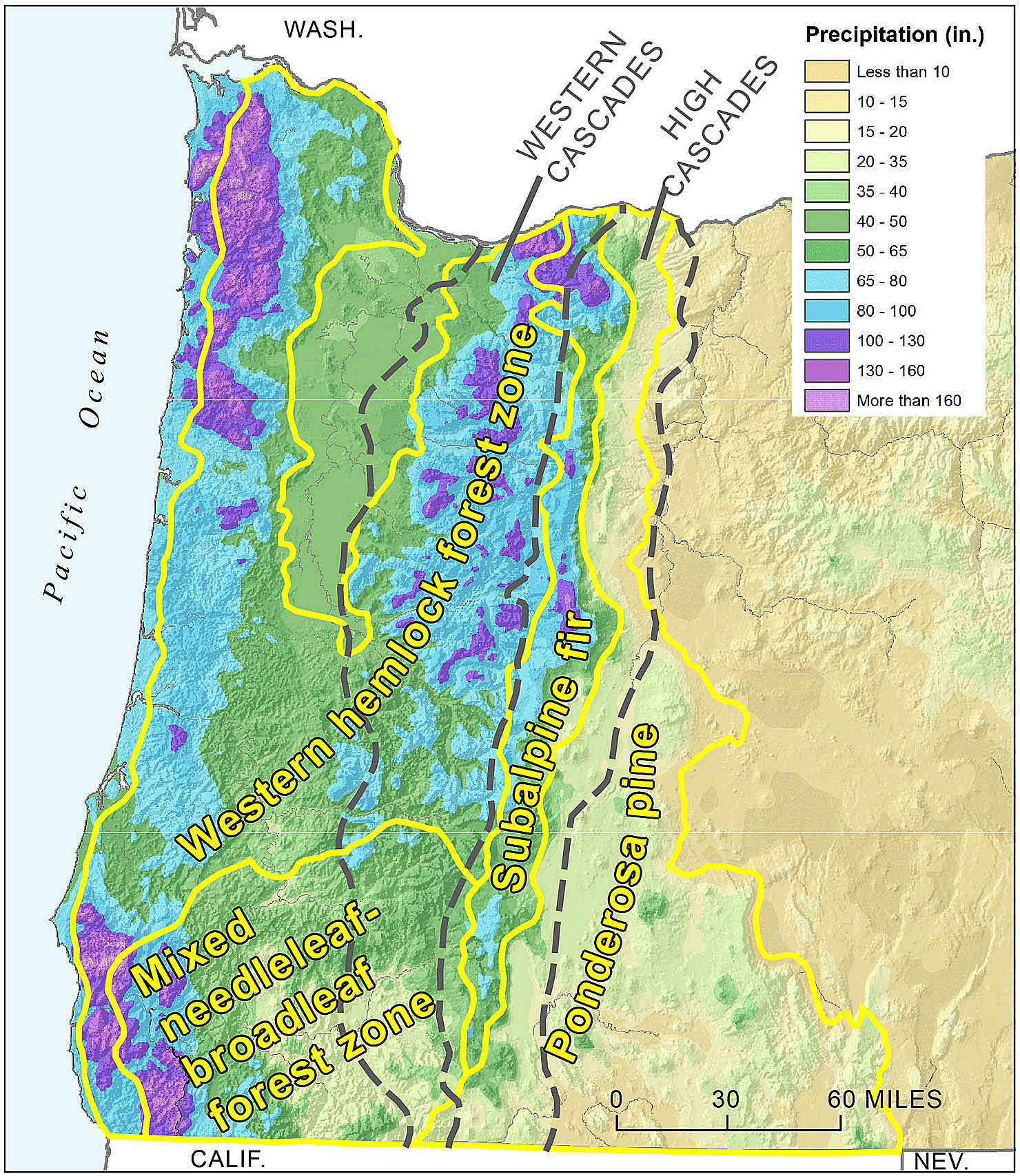 Map Of Cascade Mountain Range   OE Fig03 Precipitation Vegetation 