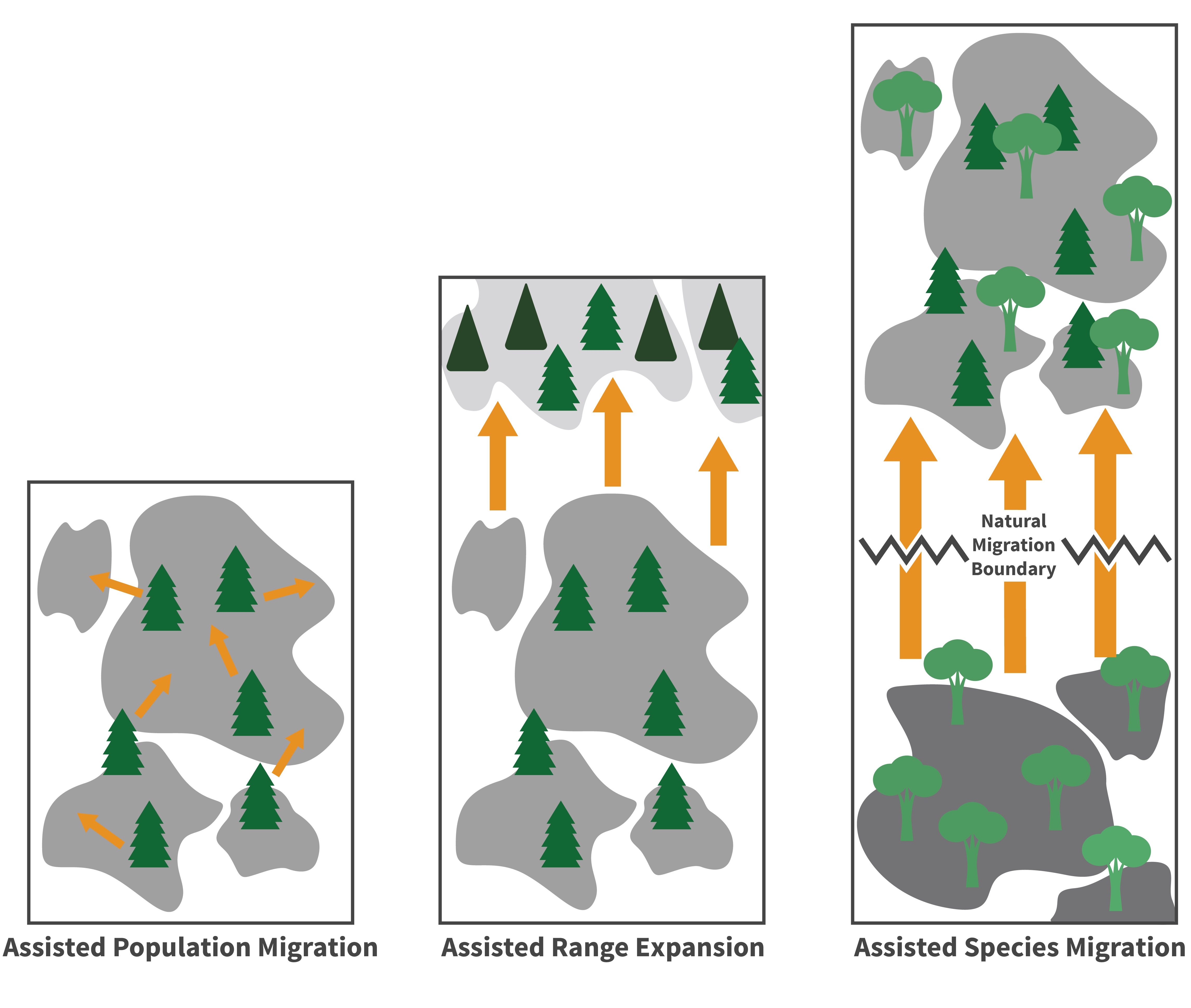 Assisted Plant Migration