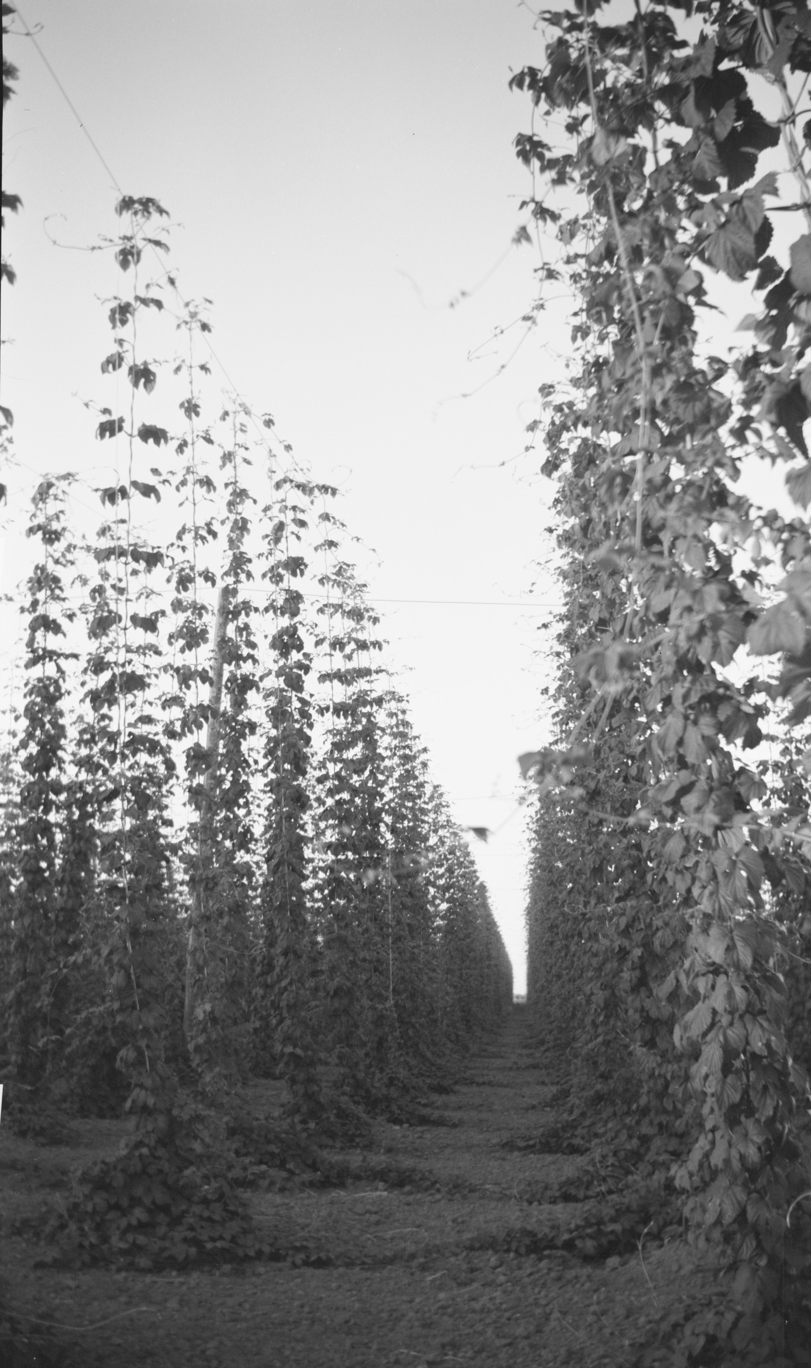 Augustin and Marie Raymond Farm