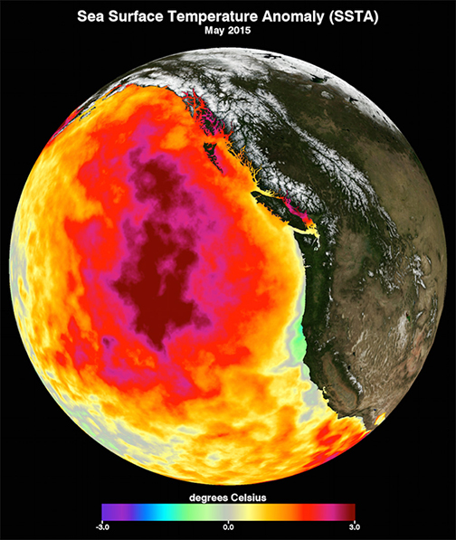 The Blob: Impacts of the 2013-2016 Marine Heatwave on Oregon