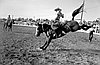 Bud Travis on Sky Ball, Prineville, 1955.