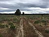 Ruts of the early pioneer road between Prineville and Lakeview.