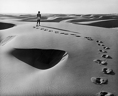 orgon dunes