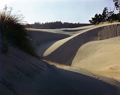 dunes