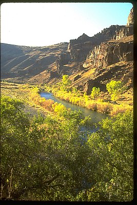 owyhee