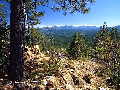 Rogue River Siskiyou National Forest Map Siskiyou National Forest