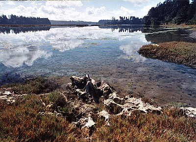 south slough