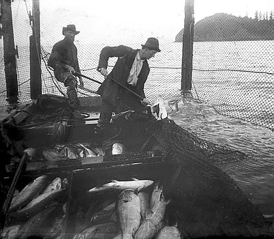 Commercial Salmon Fishing in the Columbia River