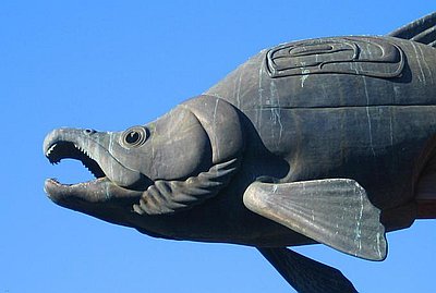 salmon