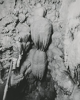 oregon caves
