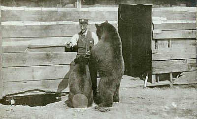 zoo